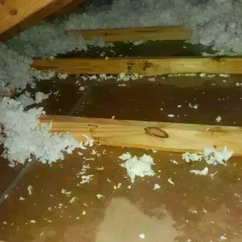 Attic Water Damage in Ralston, NE